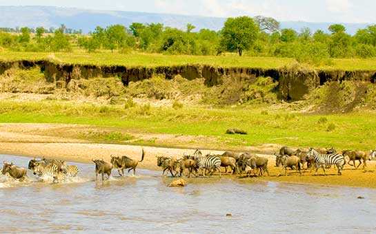 Seguro de viaje a África