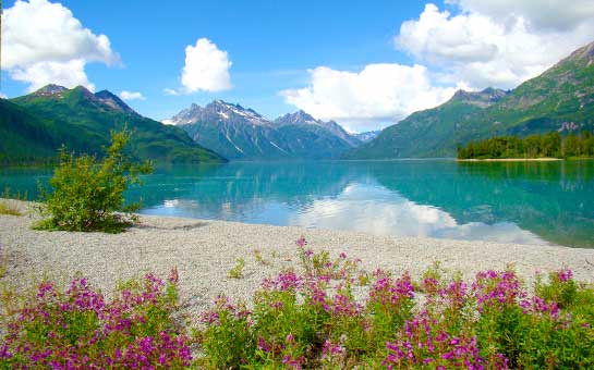 Seguro de viaje al parque nacional Lago Clark